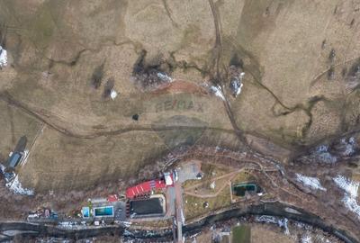 Teren Construcții intravilan de 4500 mp, în Tohanu Nou - 10