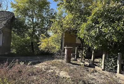 Casă cu Teren 1800 Mp în Giurgița - 2