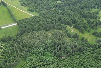 Teren extravilan 5000 MP Comandau - 6