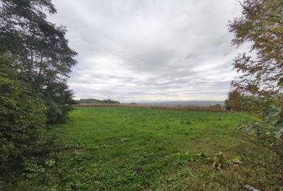 Casa individuala, 60mp, teren 3000mp, zona Padureni, Siret - 7