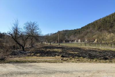 Teren de 3400 mp, în Exterior Vest - 1