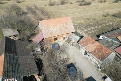 Casă cu 4 camere cu Teren 1527 Mp în Brateș - 4