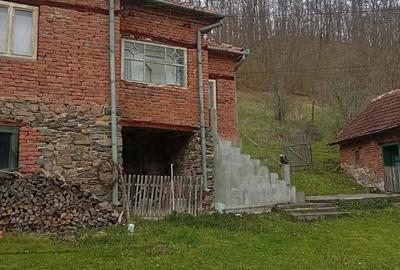 Casă cu 4 camere în Poieni (Densuș) - 3