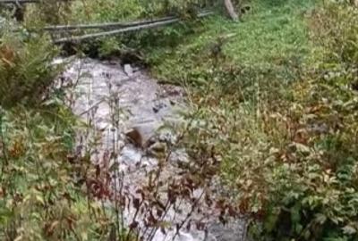 Teren Construcții intravilan de 6000 mp, în Ortoaia - 9