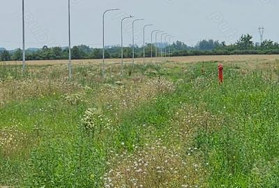 Teren de 612 mp, în Moșnița Nouă