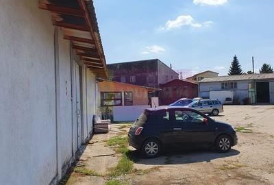 Spațiu industrial, de 90 mp, în Viilor - 12
