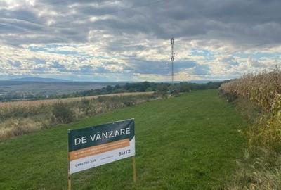 Teren de 7466 mp, în Groși