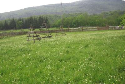 Teren de 11000 mp, în Valea Doftanei - 4
