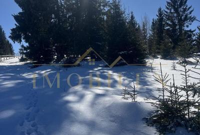 Spațiu comercial, în Măguri - 4