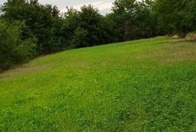 Proprietar vând teren cu casa demolabila