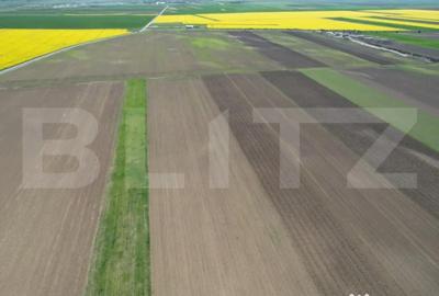 Teren de 17700 mp, în Central