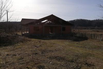 Casă în Padeș - 1