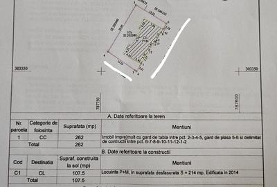 Casă individuală cu 3 camere cu Teren 262 Mp în Brătianu - 12