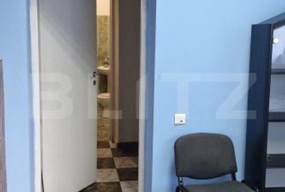 Casă cu 2 camere în Băltița - 2