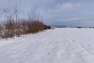 Teren intravilan in Sineu, com. Remetea - 1