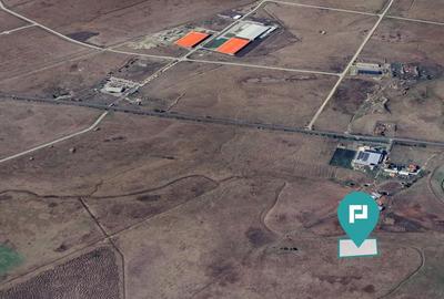 Loc de casă în Sânandrei - 3