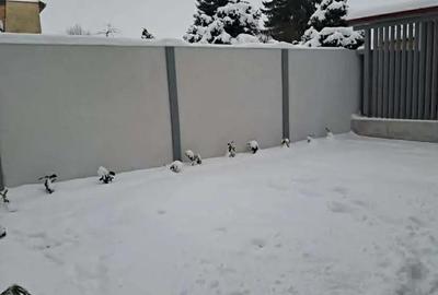 Casa cu 3 camere de vanzare , pe un nivel , Petru Maior , 145.000 euro neg. - 3