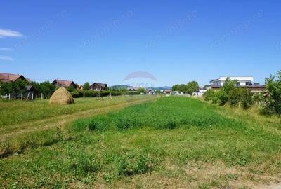 Teren 1,687mp Sighetu Marmatiei / Strada Doboies