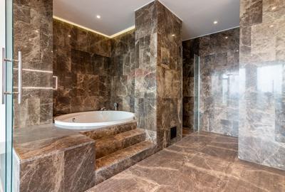 Penthouse spectaculos de vanzare - 11