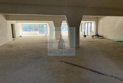 Spațiu Comercial, 400 mp utili - zona Grivitei - 6