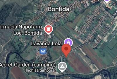 Teren de 4200 mp, în Bonț - 9