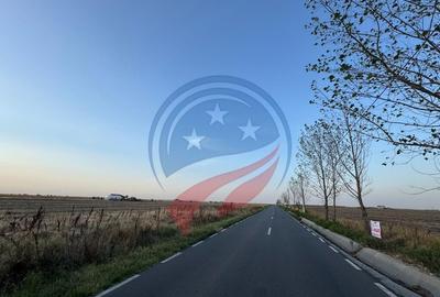 Teren generos, situat pe drum asfaltat intre Craiova ?i... - 2