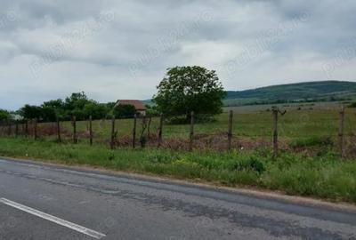 Teren de 11780 mp, în Merei - 6