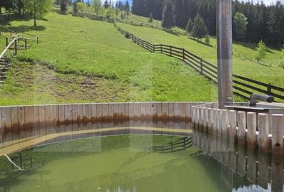 Proprietate de vanzare, cu 5 camere, 202 mp, statiunea de sc - 16