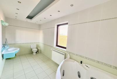 Duplex 14 camere Pantelimon Cernica 864 mp desfasurati - 29