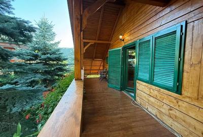 Cabana - Casa de vacanta situata in Muntele Rece! - 22