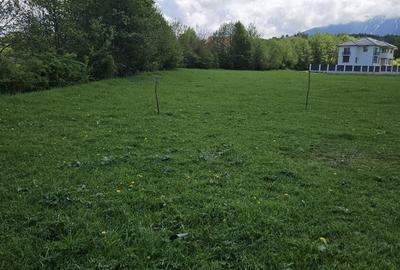 Casă cu 4 camere în Central - 7