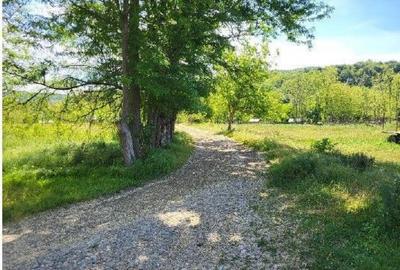 Teren extravilan arabil Tisau, ID: R2590475 - 7