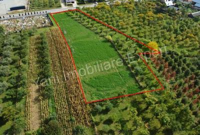 Teren de 2619 mp, în Oeștii Pământeni - 10