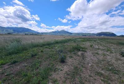 Teren industrial cu PUZ de vânzare in Brașov - 2