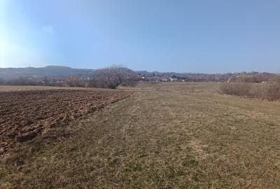 Teren de 2900 mp, în Remetea Chioarului - 2