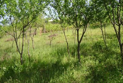 Teren în Central - 2