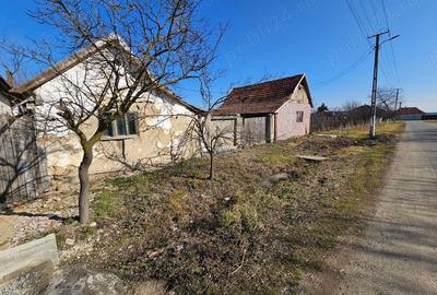 Casa de vanzare in Bocsig - 7