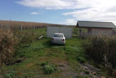 Spațiu comercial, în Trei Movile - 8