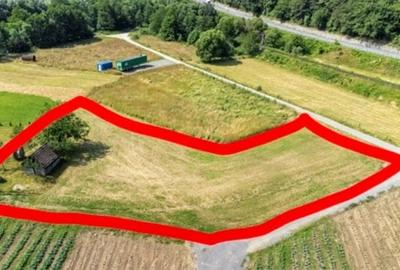 2500 mp TEREN INTRAVILAN MUNTII APUSENI, Negreni – Cluj, E60 - Mal Crisul Repede - 25