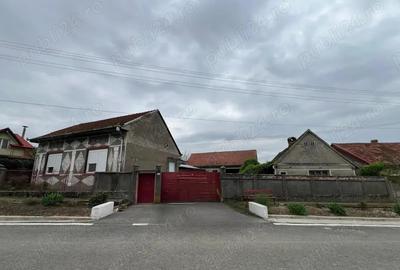 Casa Topolovatu Mare - 1