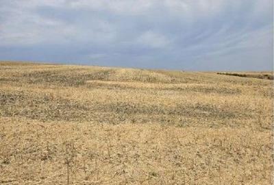 Teren de 21440 mp, în Negureni - 3