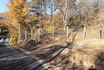 Teren de 7038 mp, în Hărțăgani - 4
