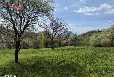 Teren de 8330 mp, în Vințu de Jos - 7