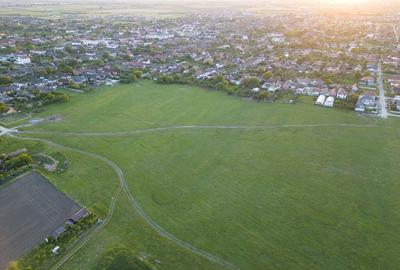 Teren intravilan 5,44 ha, Vladimirescu - 4