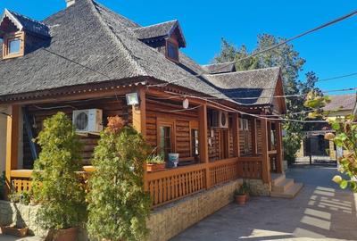 Vand afacere  , restaurant si pensiune - 7