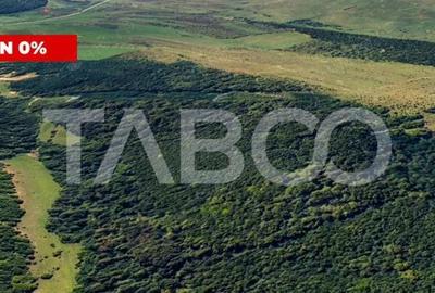 Teren de 127000 mp, în Mag