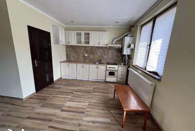Casă cu 4 camere decomandat cu Garaj în Terezian - 4