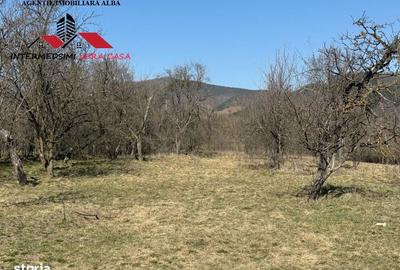 Casă cu 4 camere cu Teren 7701 Mp în Vințu de Jos - 3