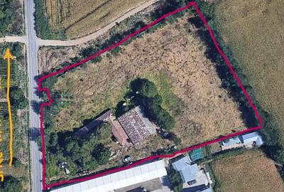 Teren intravilan 9970 mp , com. Chirnogi, jud. Calarasi (situat la 50-60 km de Bucuresti) - 2