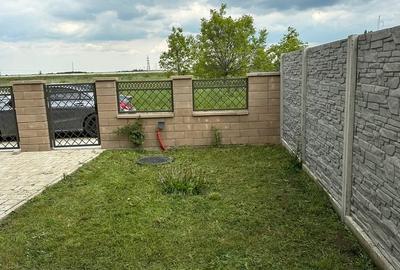 Casă cu 3 camere cu Teren 260 Mp în Timișoara - 11